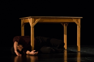 The Hungarian Ballet Theatre